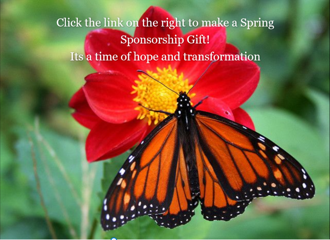 Make a Sponsorship Gift